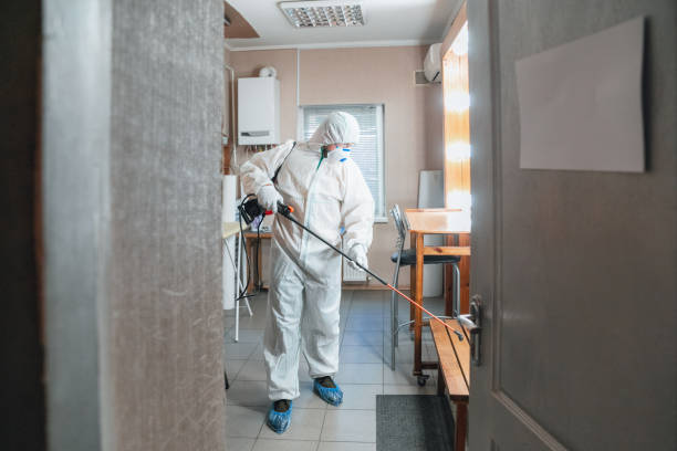 Best Mold Removal for HVAC Installations  in Ak Chin Village, AZ
