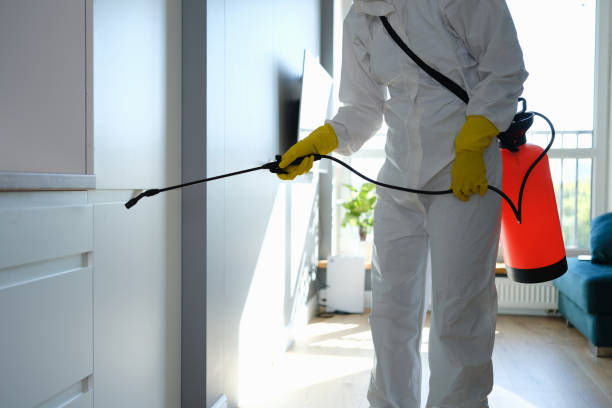 Mold Removal for HVAC Installations in Ak Chin Village, AZ