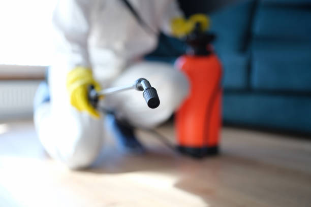 Best Airborne Mold Testing  in Ak Chin Village, AZ