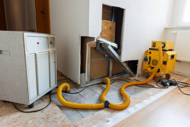 Best Comprehensive Air Testing for Mold Contaminants  in Ak Chin Village, AZ