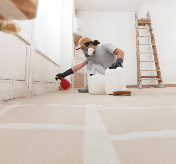 Best Emergency Mold Remediation  in Ak Chin Village, AZ