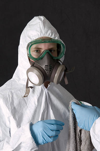 Best Crawl Space Mold Remediation  in Ak Chin Village, AZ